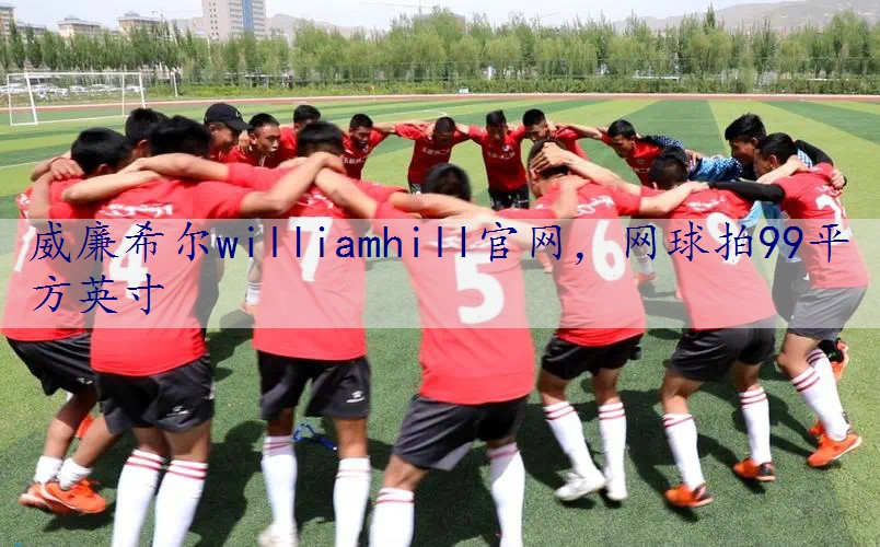 网球拍99平方英寸