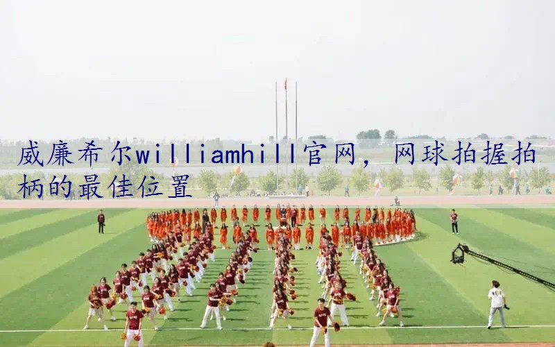 网球拍握拍柄的最佳位置