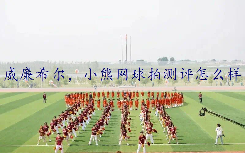 小熊网球拍测评怎么样