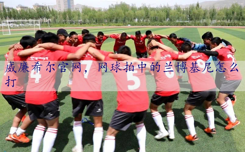 网球拍中的兰博基尼怎么打