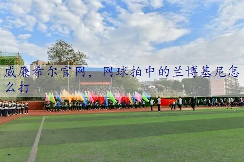 网球拍中的兰博基尼怎么打