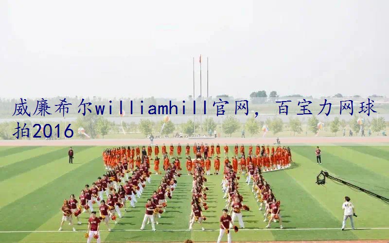 百宝力网球拍2016
