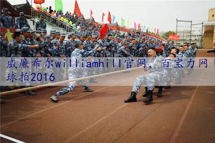 百宝力网球拍2016
