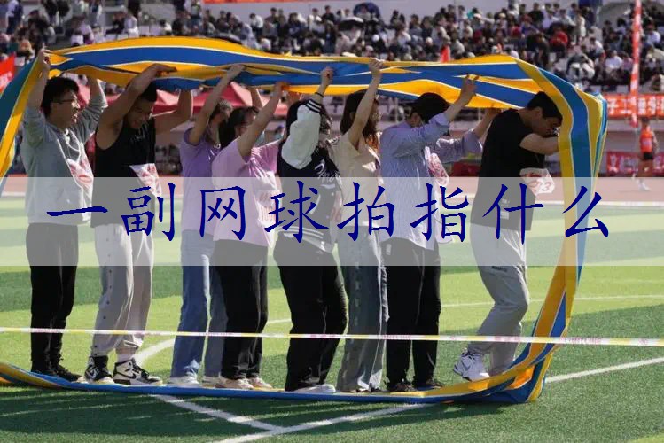 一副网球拍指什么