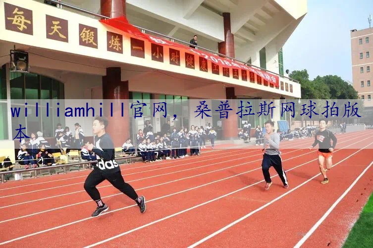 桑普拉斯网球拍版本