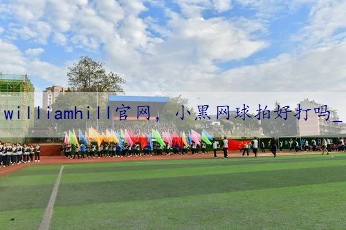 小黑网球拍好打吗_