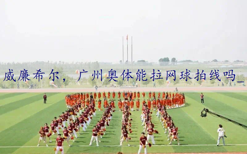 广州奥体能拉网球拍线吗_