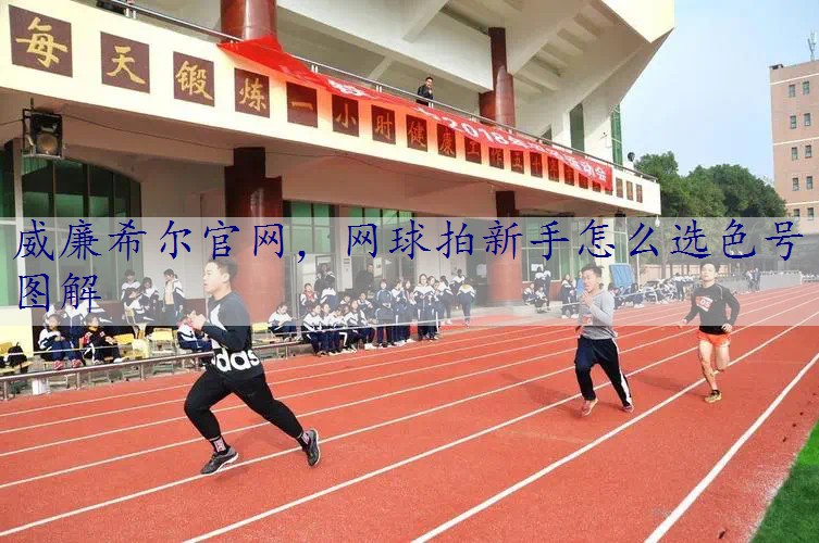 网球拍新手怎么选色号图解