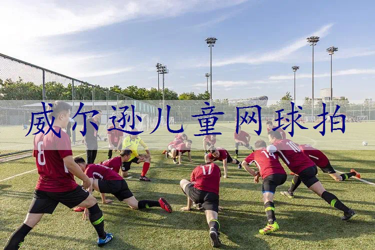 威尔逊儿童网球拍