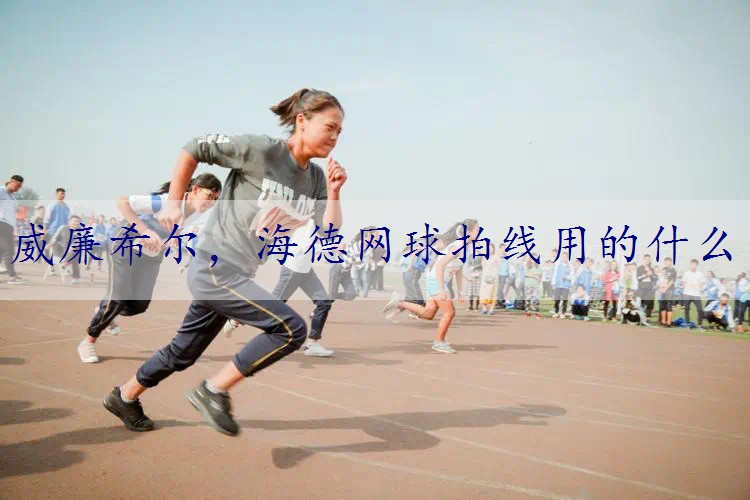 海德网球拍线用的什么