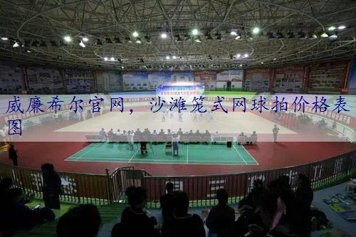 沙滩笼式网球拍价格表图
