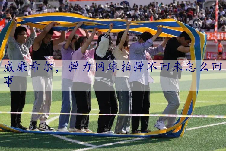 弹力网球拍弹不回来怎么回事