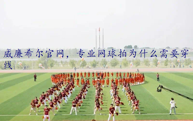 专业网球拍为什么需要穿线