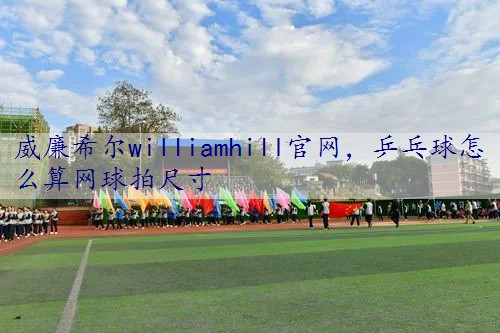 乒乓球怎么算网球拍尺寸