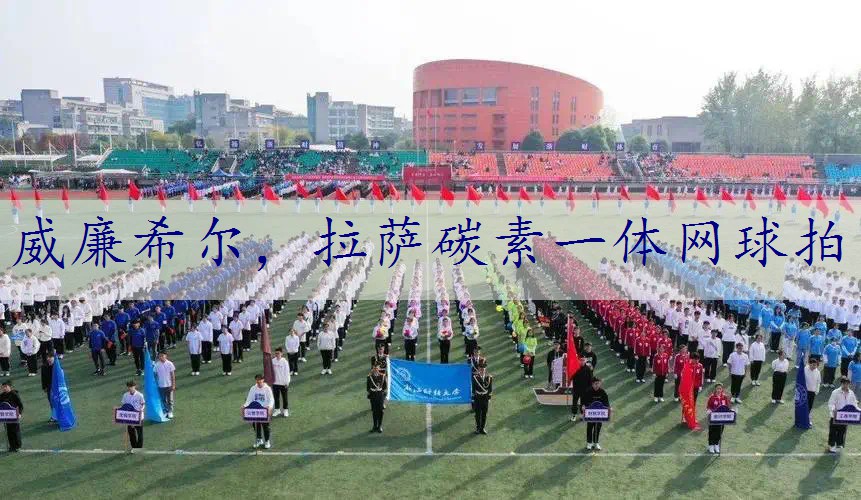 拉萨碳素一体网球拍