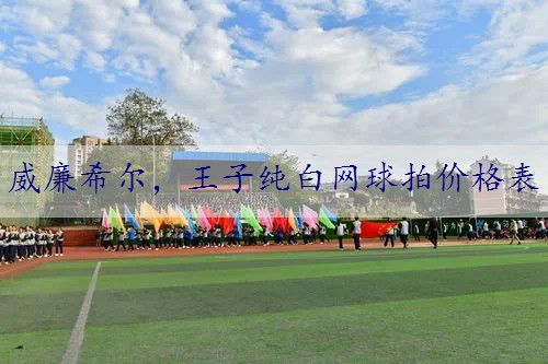 王子纯白网球拍价格表