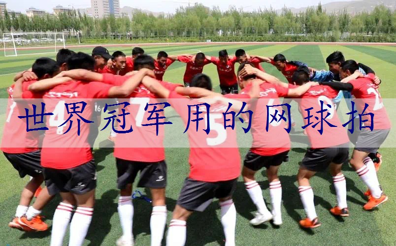 世界冠军用的网球拍