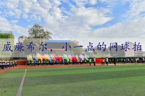 小一点的网球拍