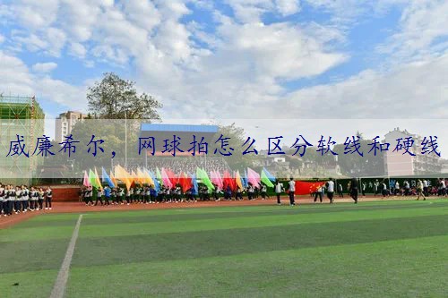 网球拍怎么区分软线和硬线