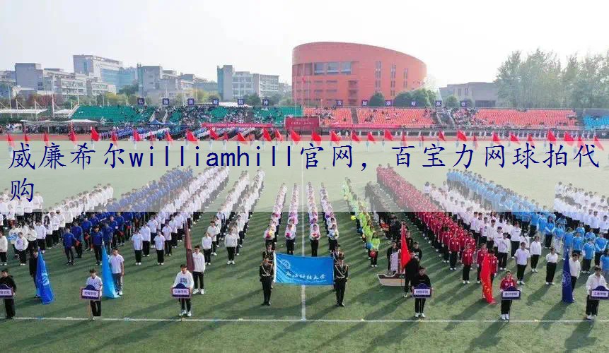 百宝力网球拍代购