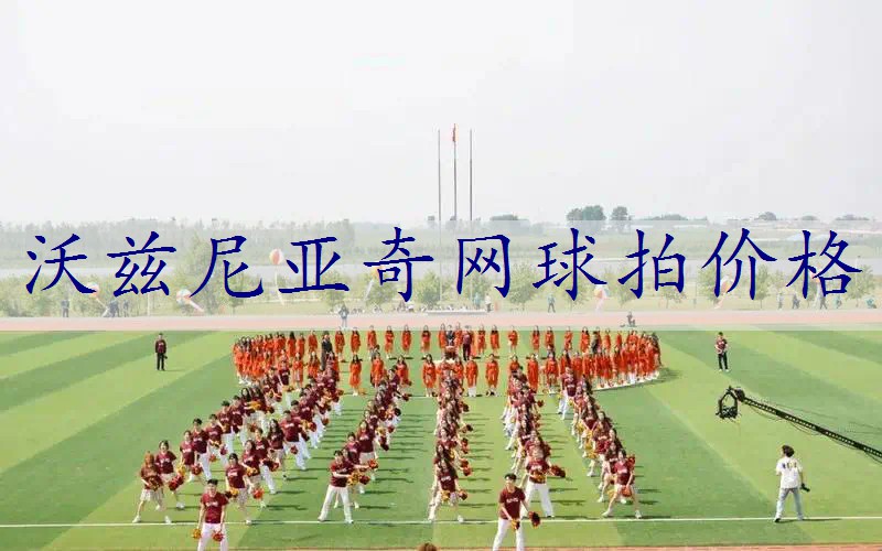 沃兹尼亚奇网球拍价格