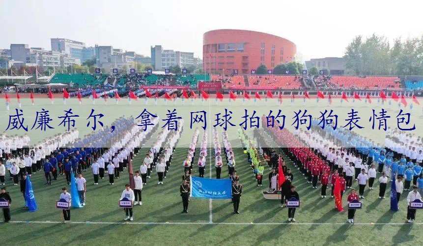 拿着网球拍的狗狗表情包