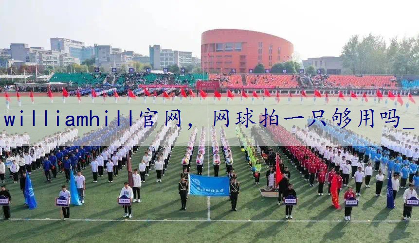 网球拍一只够用吗_