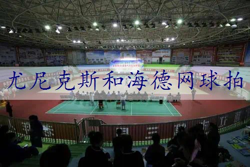 尤尼克斯和海德网球拍