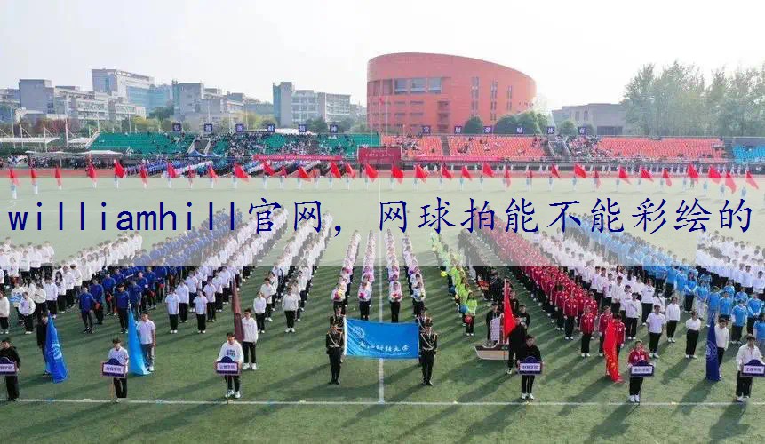 网球拍能不能彩绘的