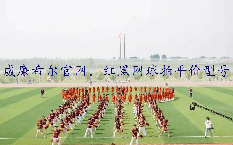 红黑网球拍平价型号