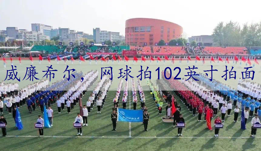 网球拍102英寸拍面