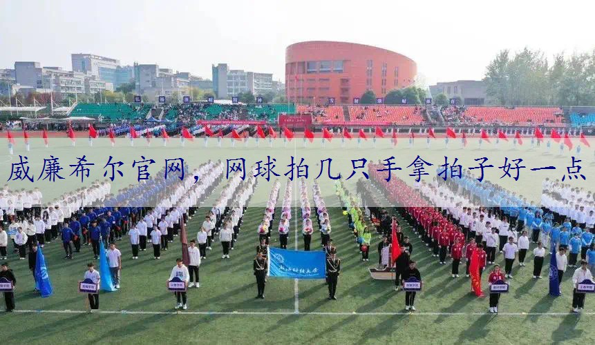 网球拍几只手拿拍子好一点