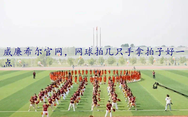 网球拍几只手拿拍子好一点