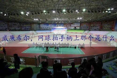 网球拍手柄上那个是什么