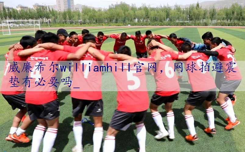 网球拍避震垫有必要吗_
