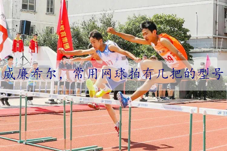 常用网球拍有几把的型号