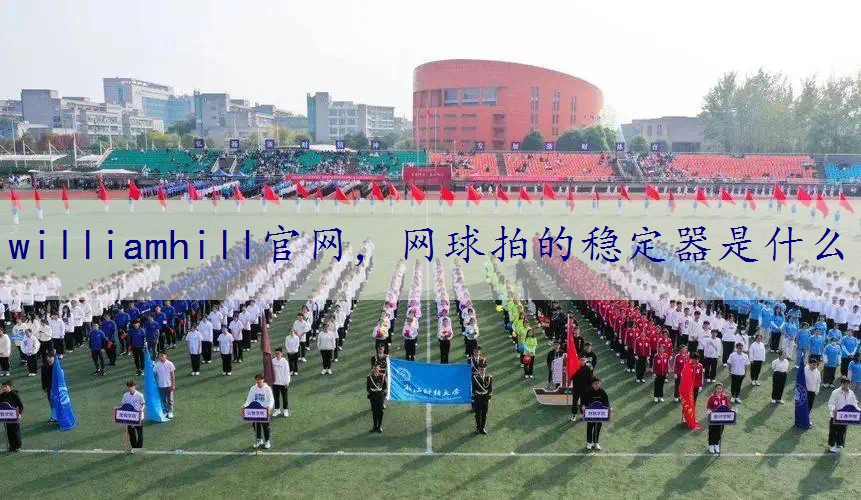 网球拍的稳定器是什么