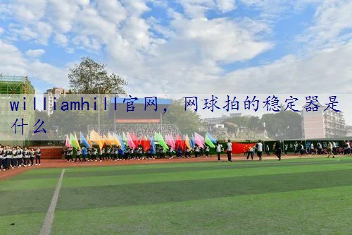 网球拍的稳定器是什么