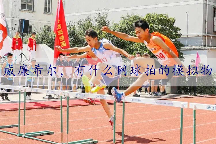 有什么网球拍的模拟物