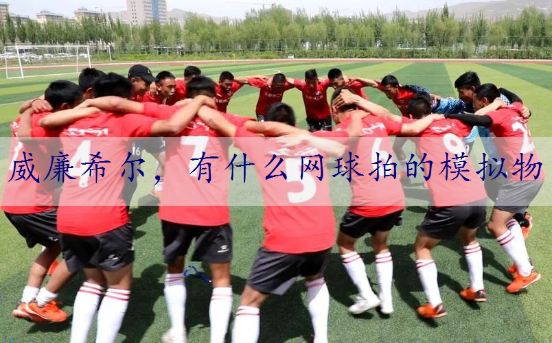 有什么网球拍的模拟物