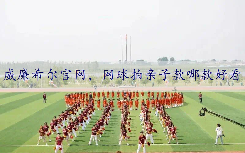网球拍亲子款哪款好看