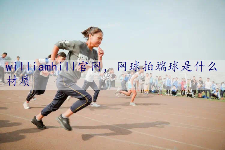 网球拍端球是什么材质