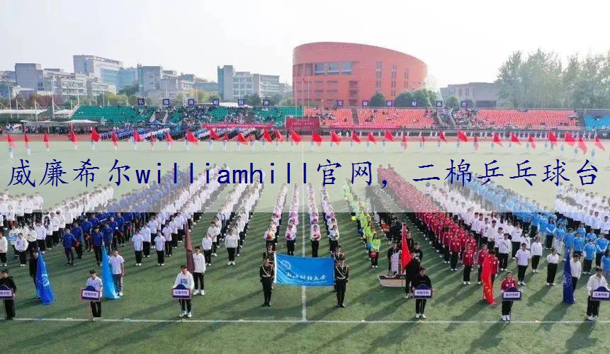 二棉乒乓球台