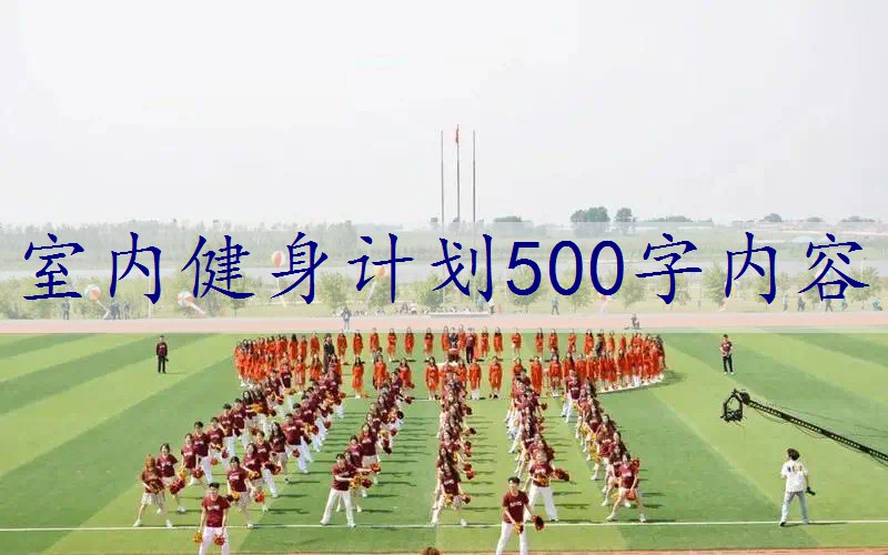 室内健身计划500字内容