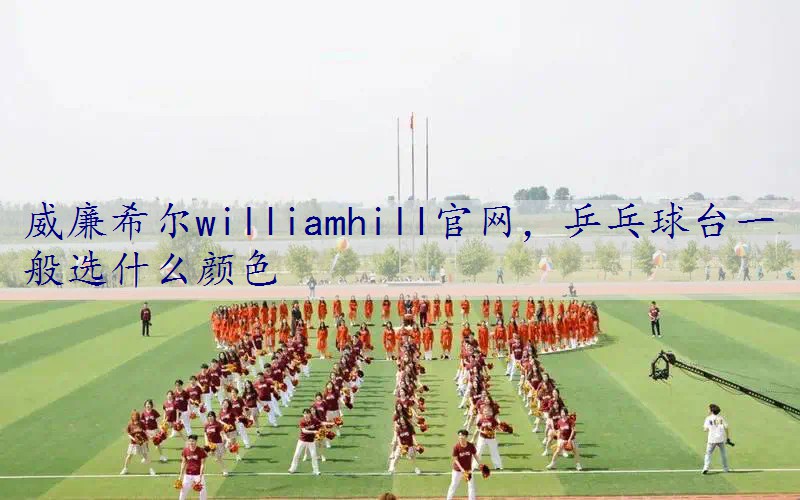 乒乓球台一般选什么颜色