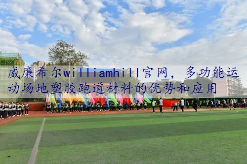 多功能运动场地塑胶跑道材料的优势和应用